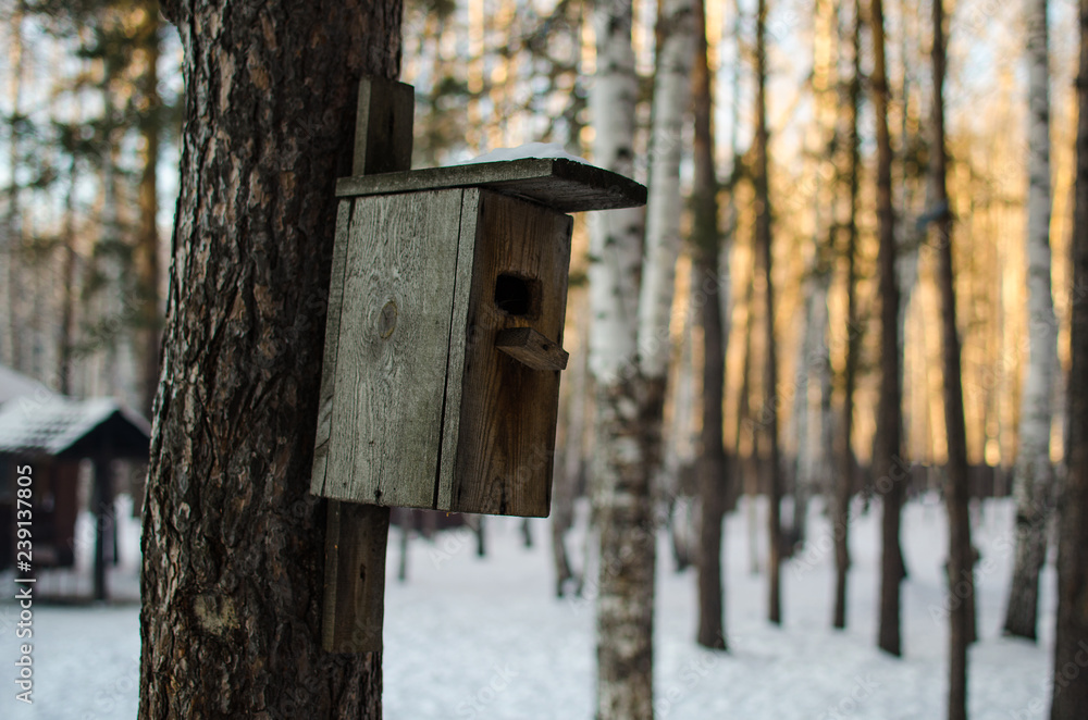 wooden birdhouse handing on the tree at winter