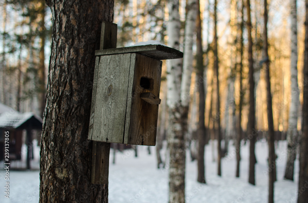 wooden birdhouse handing on the tree at winter wooden birdhouse handing on the tree at winter