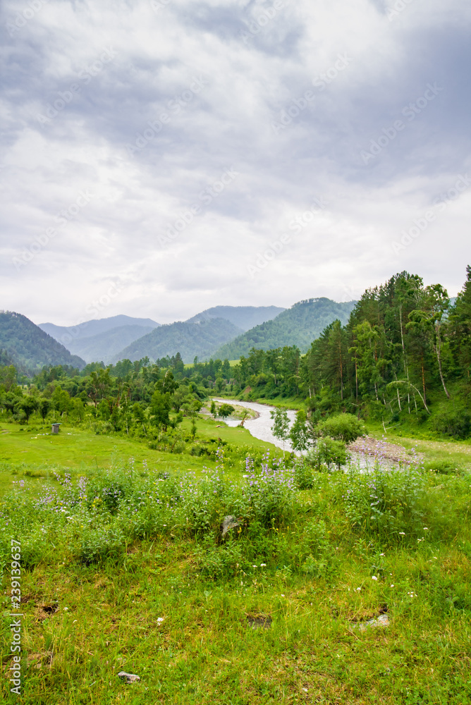 Traumhafte Landschaft mit grünen Pflanzen und Bergen in Altei, Russland