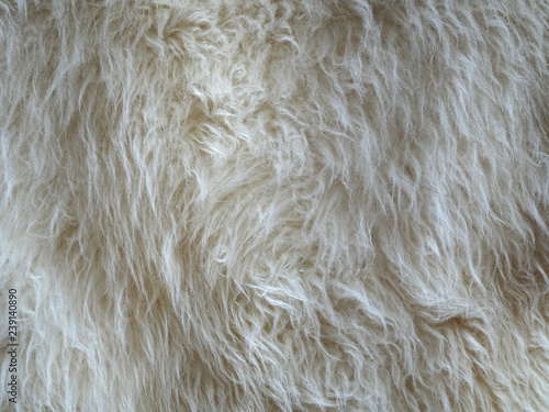 White natural fur as texture and background