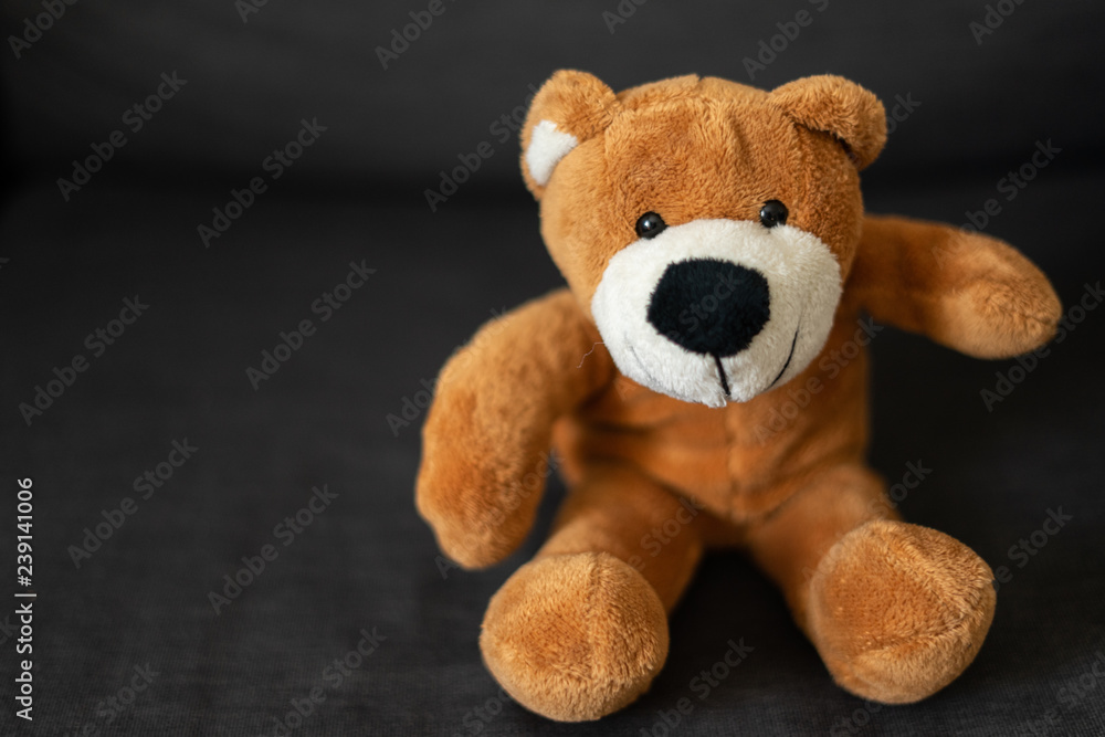 Obraz premium Brauner Teddybär sitzt auf einer Couch und schaut