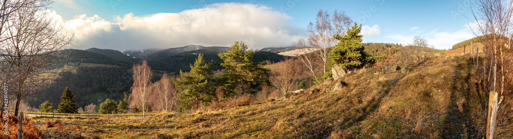 Prairies sèches sur les sommets des Vosges Prairies sèches sur les sommets des Vosges