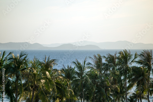 Wallpaper Mural Rainy season in tropical island. Torontodigital.ca