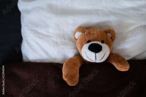 Teddy liegt im Bett unter der Decke