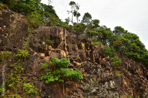 Brown Stone Cliff View with small tree on the side of road
