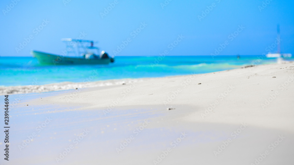 Obraz premium Dominicana beach