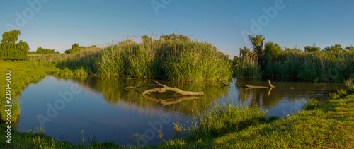 Landscape of Rietvlei Nature Reserve.