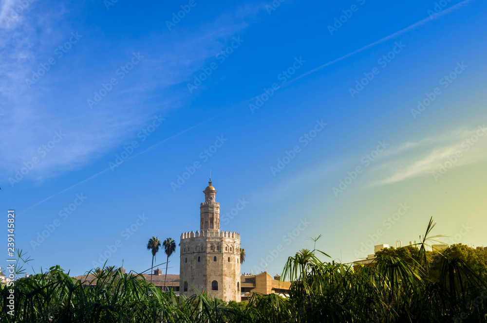 Golden Tower in Seville (Torre del Oro, Sevilla) Andalusia, Spain