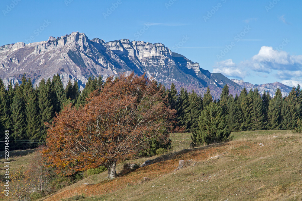 Herbststimmung im Trentino