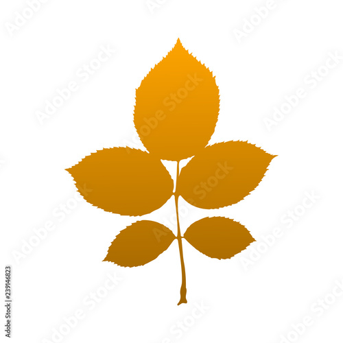 Orange poplar sprig with leaves icon. Vector illustration.
