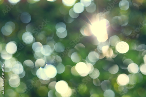 abstract blur sun light summer in the morning with green bokeh nature background