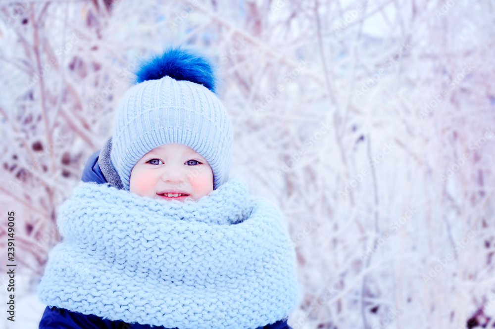 portrait of a little boy in winter in a park, a child in a blue hat and blue scarf in winter portrait of a little boy in winter in a park, a child in a blue hat and blue scarf in winter