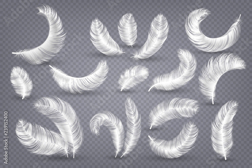 Realistic feathers. Fluffy white goose and swan feather, weightless plume isolated vector set