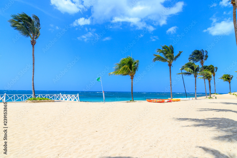 Green flag on the beach indicates no danger when bathing. Dominican Republic Green flag on the beach indicates no danger when bathing. Dominican Republic