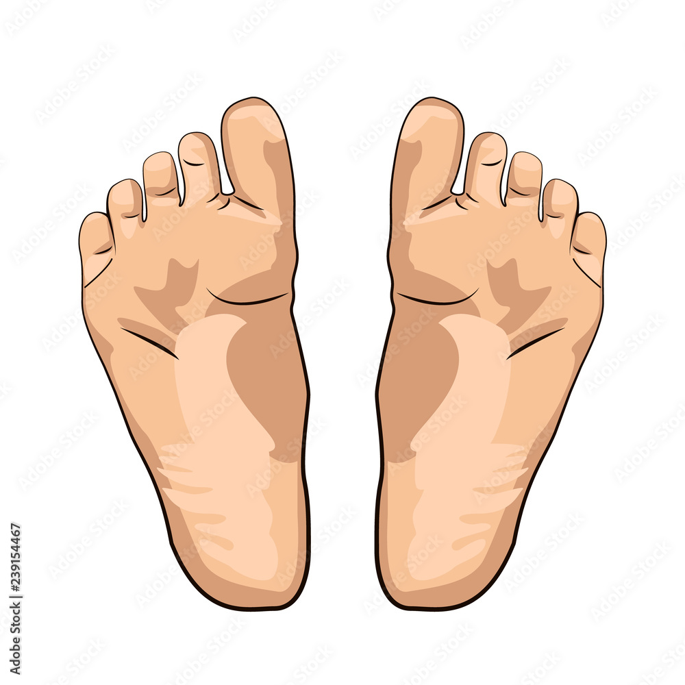 illustration of a girl's foot isolated on white background. illustration of a girl's foot isolated on white background.