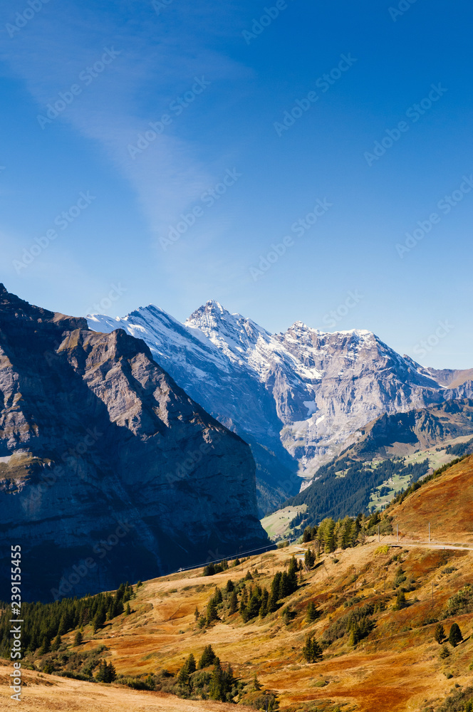 Panoramic view of  Swiss alps mountain rage from Eigergletscher, Jungfrau region - Switzerland