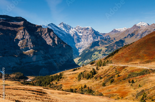 Panoramic view of Swiss alps mountain rage from Eigergletscher, Jungfrau region - Switzerland
