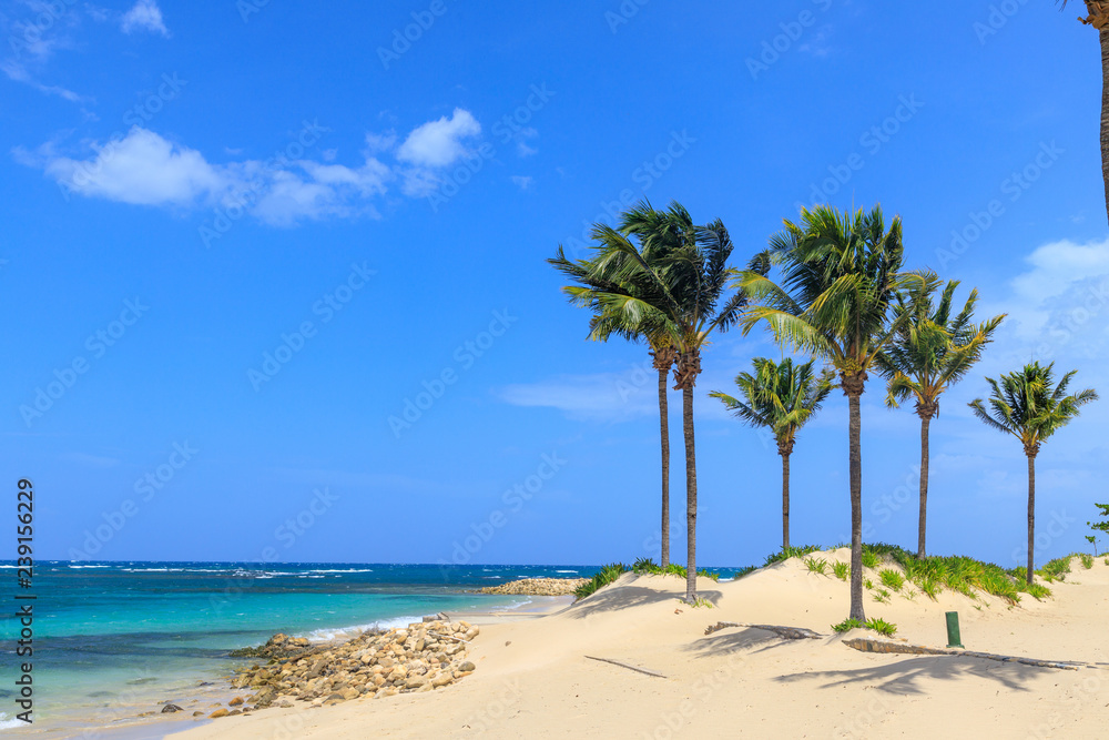 Beach on the tropical island. Clear blue water, sand and palm trees. Beautiful vacation spot, treatment and aquatics. Dominican Republic.