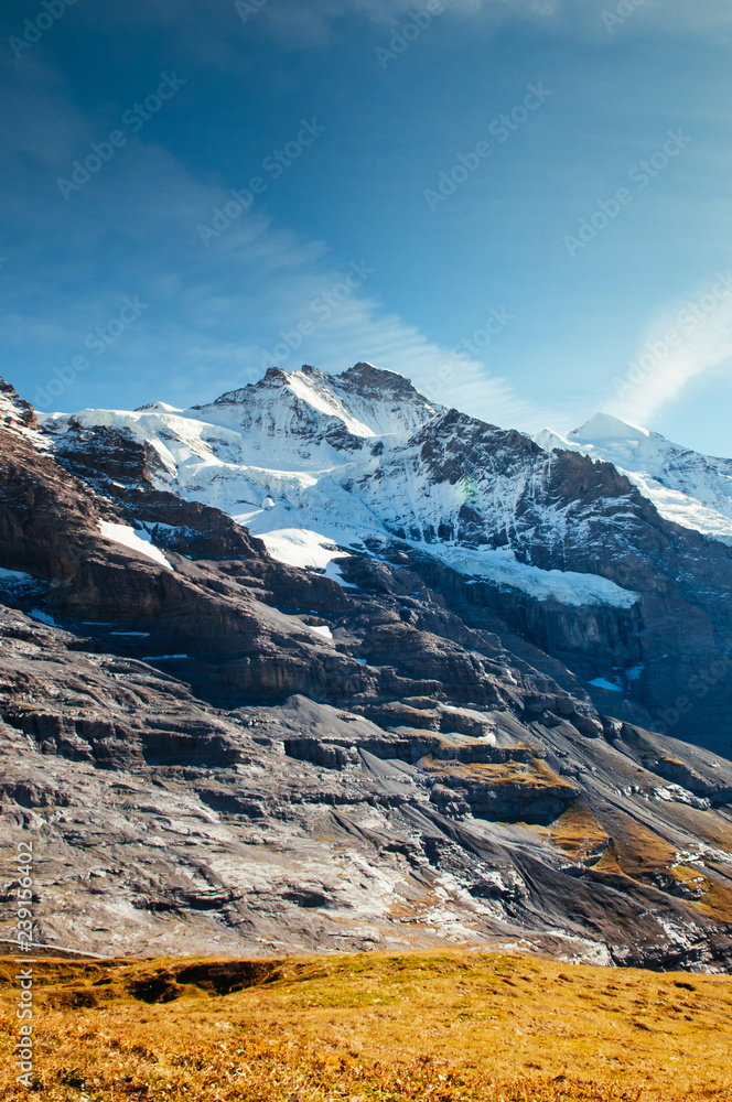 Fototapeta premium Panoramic view of rock cliff, Jungfrau peak view from Kleine Scheidegg station, Switzerland