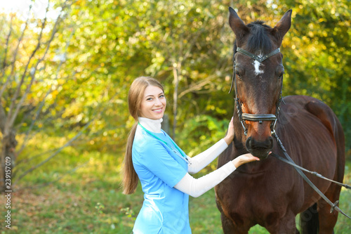 Veterinarian in uniform with beautiful brown horse outdoors. Space for text