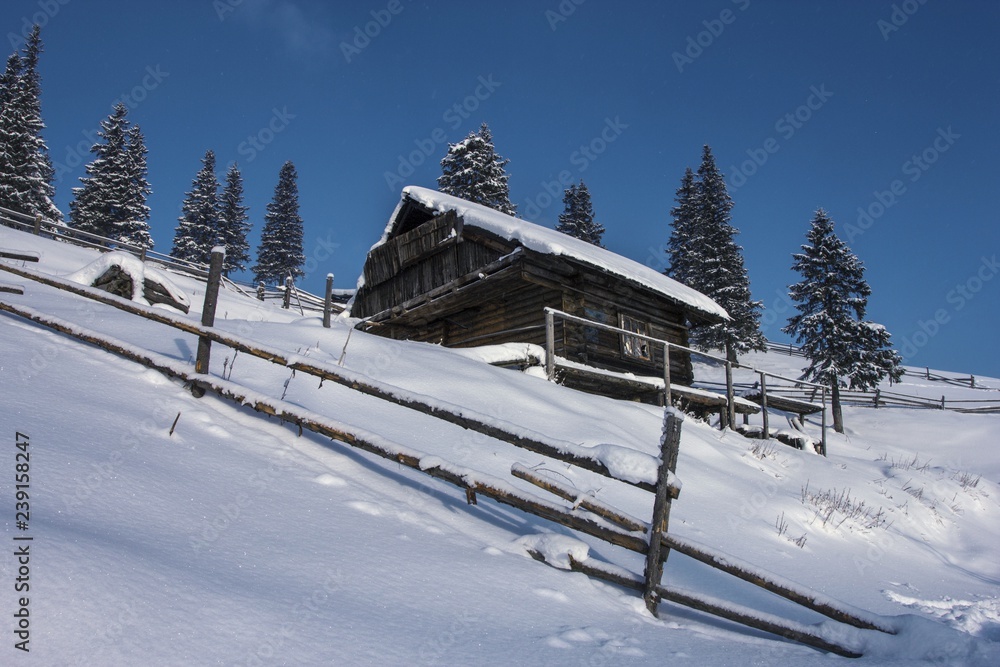 mountains winter landscape, wooden houses in hutzul ukrainian village, spectacular frosty sunny weather, amazing rural nature scenery