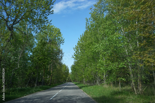 Fotografi Landscape with the road to the Curonian spit, Kaliningrad region.