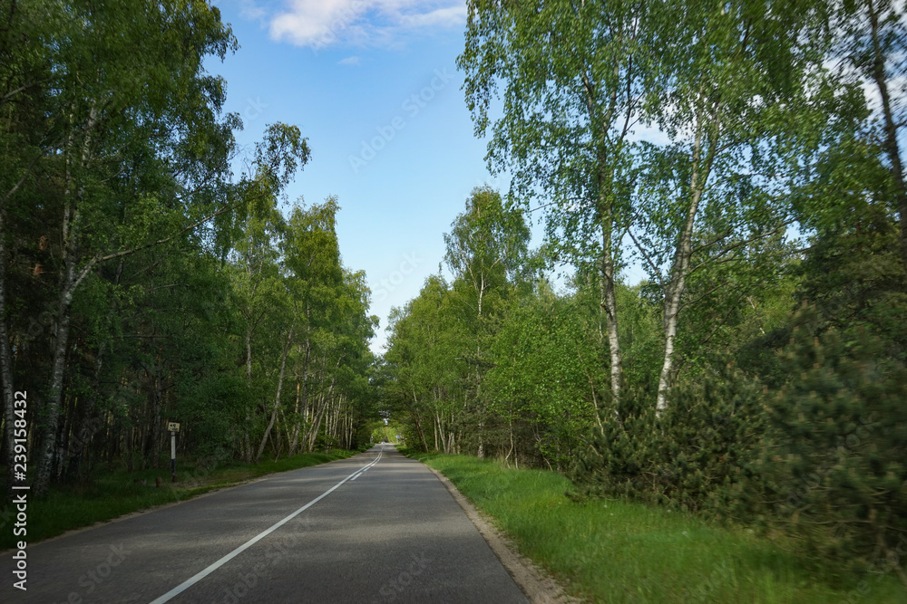 Landscape with the road to the Curonian spit, Kaliningrad region. Landscape with the road to the Curonian spit, Kaliningrad region.