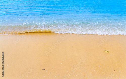 ocean blue wave on sandy beach with sea shell summer background