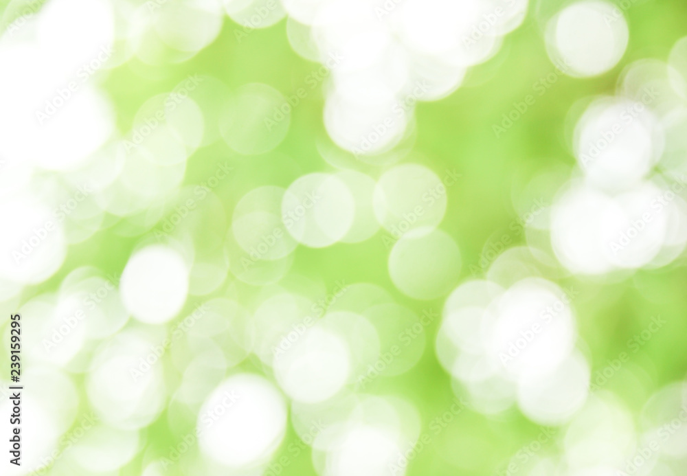 Fototapeta premium Natural green bokeh abstract background