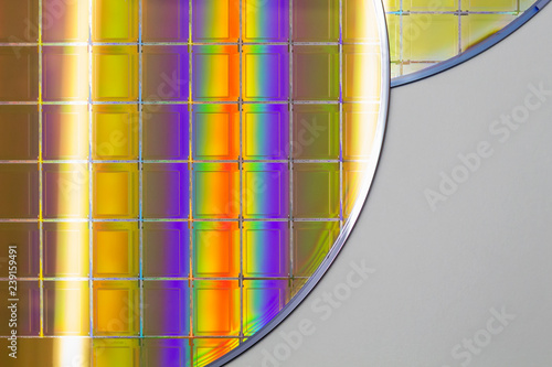 Silicon Wafers and Microcircuits - A wafer is a thin slice of semiconductor material, such as a crystalline silicon, used in electronics for the fabrication of integrated circuits. photo