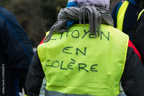 Gilet Jaune de dos avec inscription : Citoyen en colère - Manifestation photo