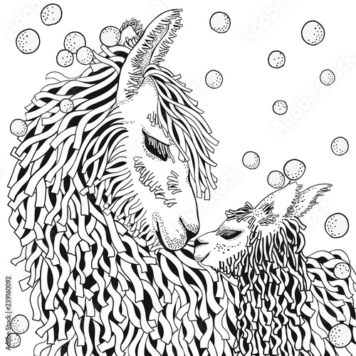 Llama. Mather and baby. Coloring Book page for Adult and children in doodle style. Black and white background. Hand-drawn winter lama.