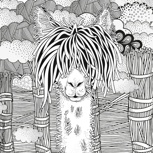 Coloring Book page for Adult and children. Llama in zentangle style. Black and white monochrome background. Doodle hand-drawn.