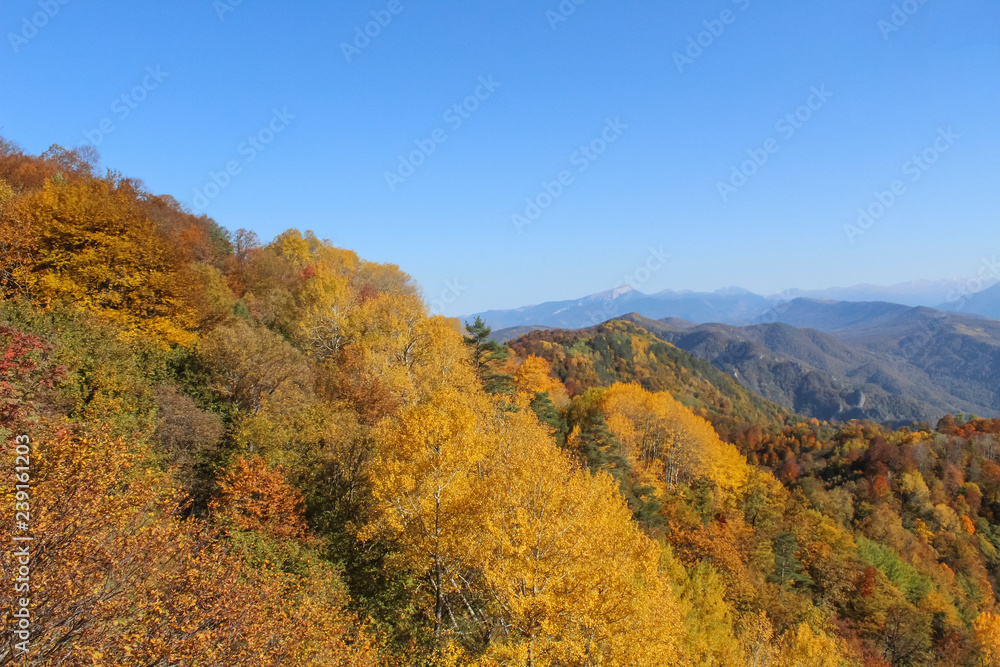 Golden autumn in the mountains of Lago-Naki