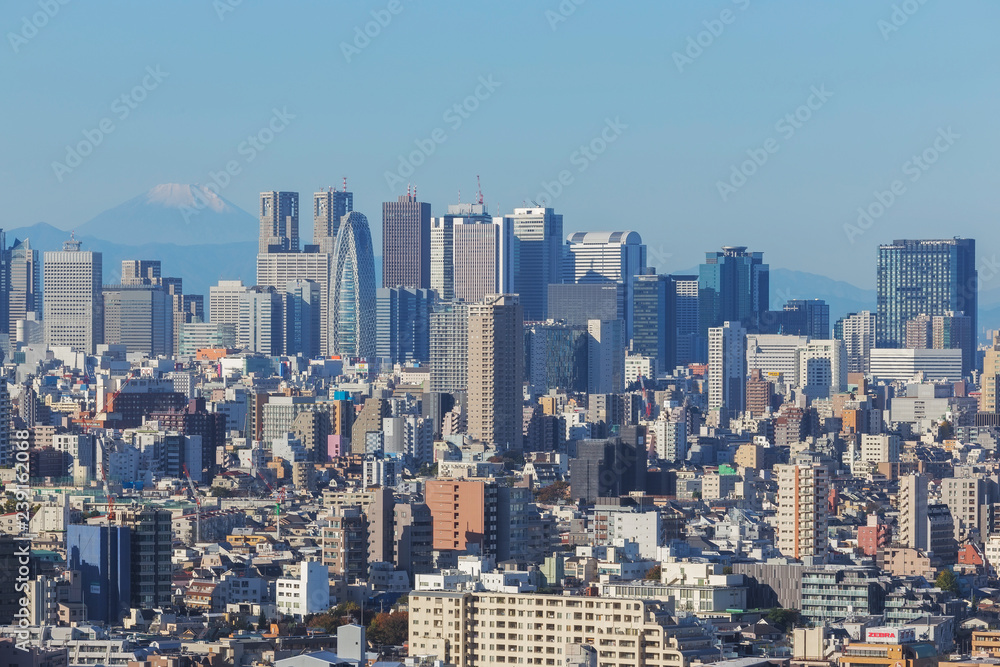 Tokyo city, Japan