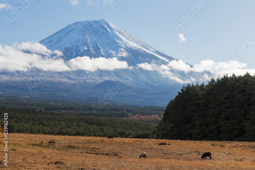 Mt.Fuji in autumn, Japan photo