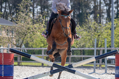 young lady jumps with horse over obstacles in the outer box