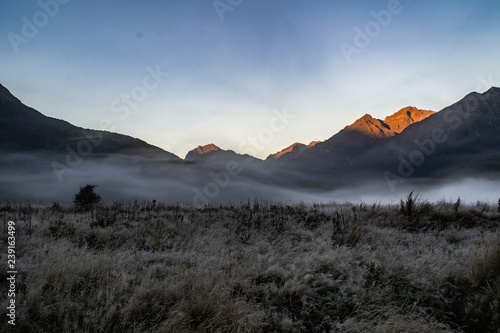 Travel New Zealand. Foggy/misty valley morning sunrise scenery. Winter morning in the mountains. Outdoor background. Moody. Milford Track, Fiordland Narional Park, South Island photo