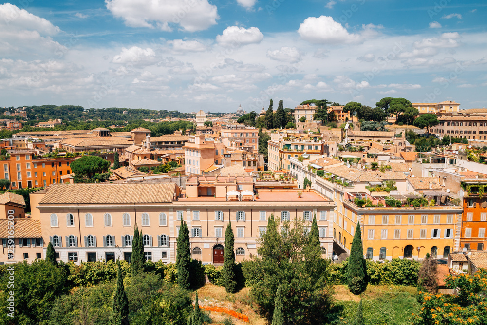 View of Rome old town from Palatine hill in Rome, Italy
