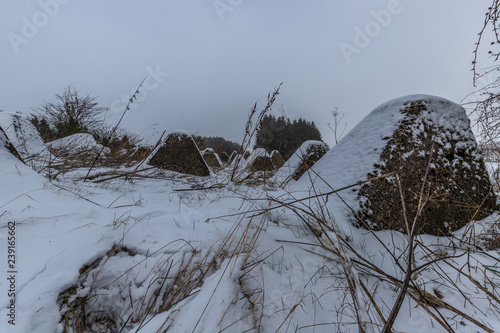 Höckerlinie aus dem zweiten Weltkrieg vom Westwall in der Eifel  photo