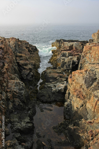 The rugged coast of Acadia National Park, Maine, bathed in early morning light in summer.