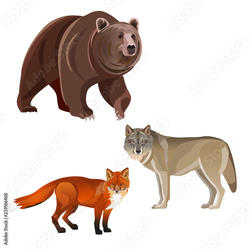 Predatory beasts vector