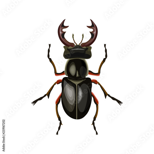Stag beetle vector © Hennadii