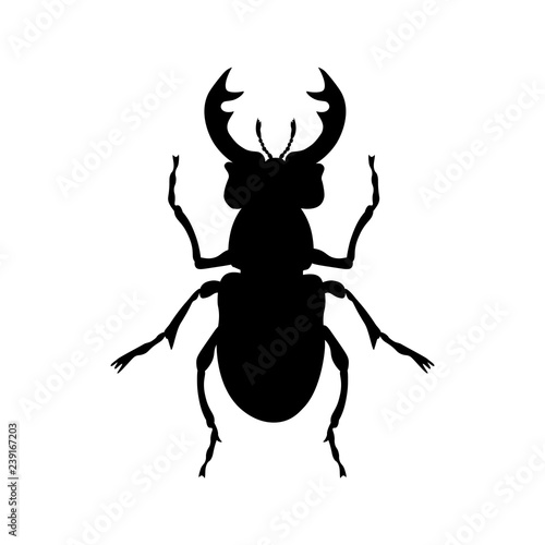 Stag beetle silhouette