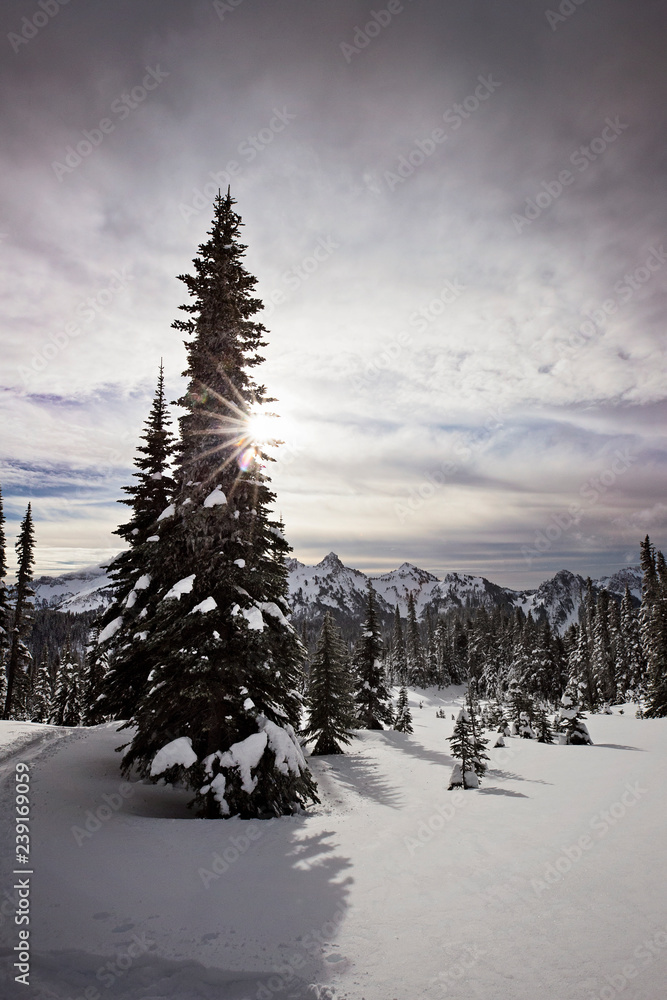 Obraz premium The snow covered cascade mountains in washington state, mt rainier national park