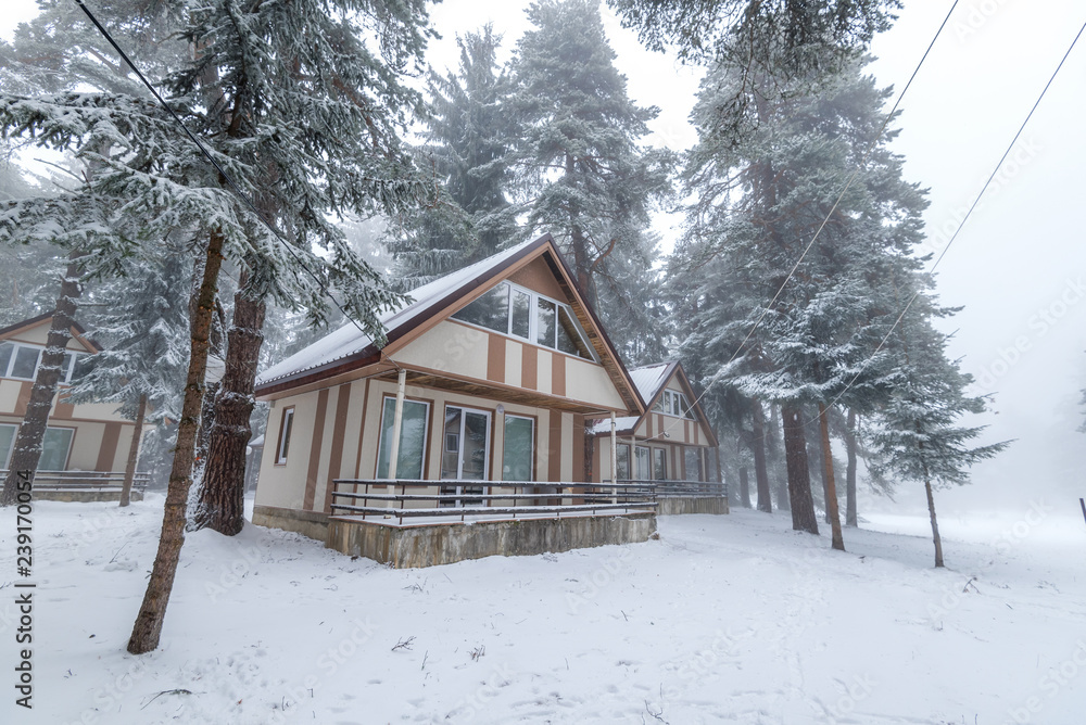 House in a snowy forest. House in a snowy forest.
