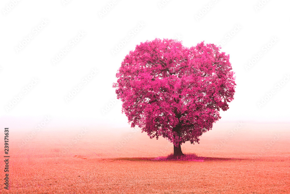 Obraz premium Abstract photo with tree in form of heart as symbol of love, wedding or holy valentine's day