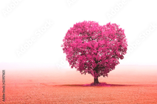 Abstract photo with tree in form of heart as symbol of love, wedding or holy valentine's day © yarbeer