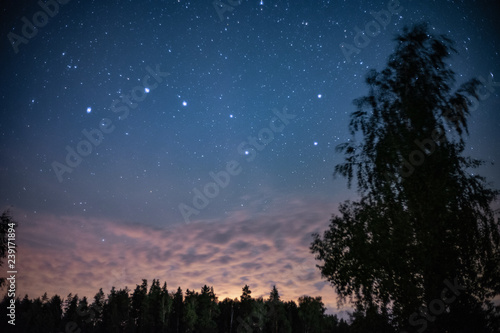Ursa Major constellation in night sky with stars
