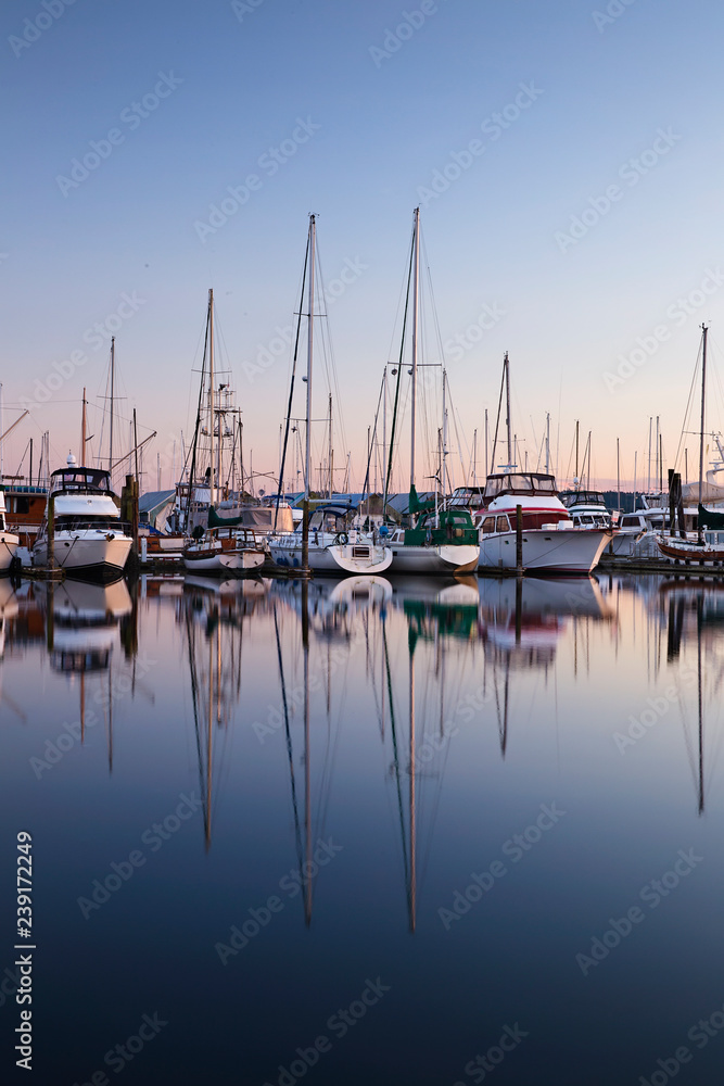 Fototapeta poulsbo, washington state, marina with boats at sunset